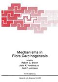 Brown / Hoskins / Johnson |  MECHANISMS IN FIBRE CARCINOGEN | Buch |  Sack Fachmedien
