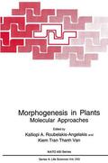 Roubelakis-Angelakis |  Morphogenesis in Plants | Buch |  Sack Fachmedien