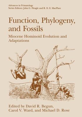 Begun / Rose / Ward | Function, Phylogeny, and Fossils | Buch | 978-0-306-45457-8 | sack.de
