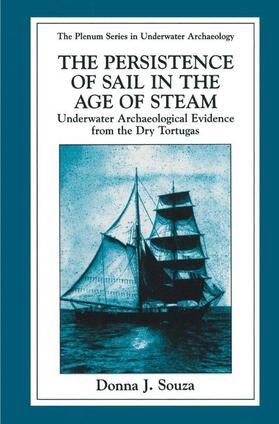 Souza | The Persistence of Sail in the Age of Steam | Buch | 978-0-306-45843-9 | sack.de