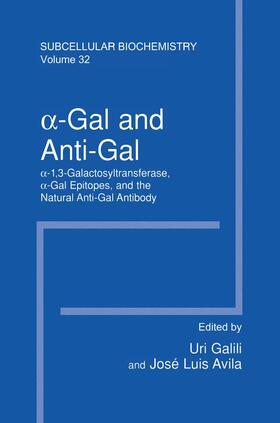 Avila / Galili | ¿¿Gal and Anti¿Gal | Buch | 978-0-306-46103-3 | sack.de
