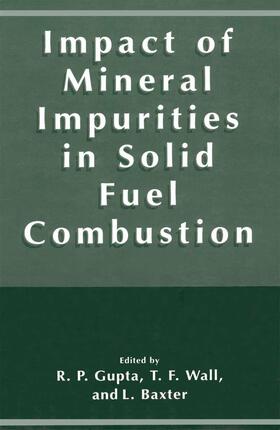Gupta / Baxter / Wall | Impact of Mineral Impurities in Solid Fuel Combustion | Buch | 978-0-306-46126-2 | sack.de
