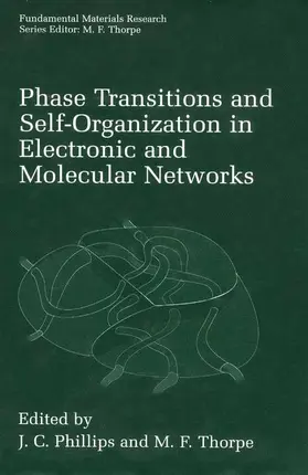Phillips / Thorpe |  Phase Transitions and Self-Organization in Electronic and Molecular Networks | Buch |  Sack Fachmedien