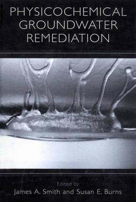Burns / Smith | Physicochemical Groundwater Remediation | Buch | 978-0-306-46569-7 | sack.de