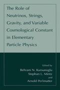 Kursunogammalu / Perlmutter / Mintz |  The Role of Neutrinos, Strings, Gravity, and Variable Cosmological Constant in Elementary Particle Physics | Buch |  Sack Fachmedien