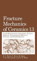 Bradt / Munz / White |  Fracture Mechanics of Ceramics | Buch |  Sack Fachmedien