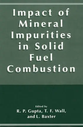 Gupta / Wall / Baxter | Impact of Mineral Impurities in Solid Fuel Combustion | E-Book | www.sack.de