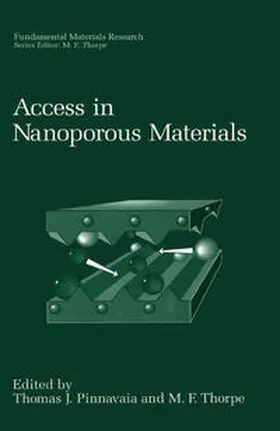 Pinnavaia / Thorpe |  Access in Nanoporous Materials | eBook | Sack Fachmedien