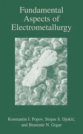 Popov / Grgur / Djokic | Fundamental Aspects of Electrometallurgy | E-Book | www.sack.de
