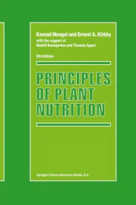 Surko / Gianturco |  New Directions in Antimatter Chemistry and Physics | eBook | Sack Fachmedien