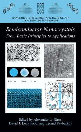 Efros / Tsybeskov / Lockwood |  Semiconductor Nanocrystals | Buch |  Sack Fachmedien