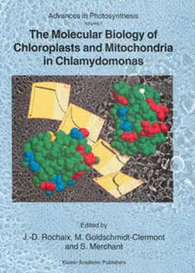 Rochaix / Goldschmidt-Clermont / Merchant |  The Molecular Biology of Chloroplasts and Mitochondria in Chlamydomonas | eBook | Sack Fachmedien