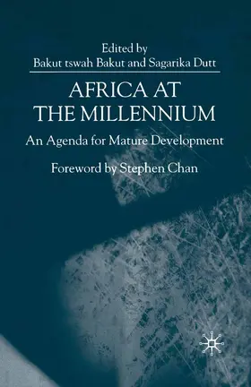 NA |  Africa at the Millennium | Buch |  Sack Fachmedien