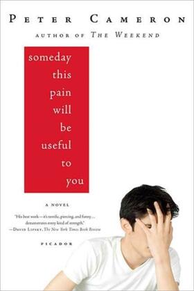 Cameron |  Someday This Pain Will Be Useful to You | Buch |  Sack Fachmedien