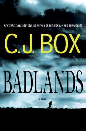 Box |  Badlands | Buch |  Sack Fachmedien