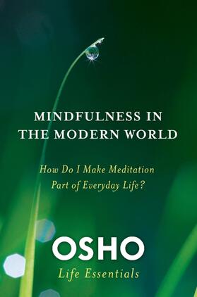Argyres | Mindfulness in the Modern World | Buch | 978-0-312-59551-7 | www.sack.de