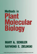  Methods in Plant Molecular Biology | eBook | Sack Fachmedien