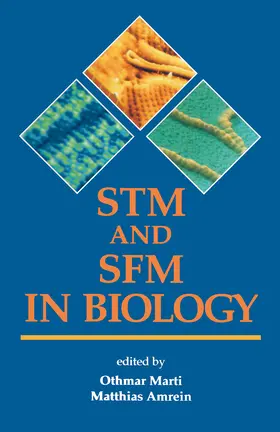 Marti / Amrein |  STM and SFM in Biology | eBook | Sack Fachmedien
