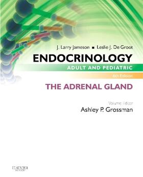 Grossman / Jameson / De Groot | Endocrinology Adult and Pediatric: The Adrenal Gland | Buch | 978-0-323-24059-8 | sack.de