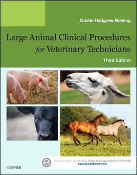 Holtgrew-Bohling | Large Animal Clinical Procedures for Veterinary Technicians | Buch | 978-0-323-34113-4 | sack.de