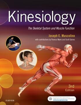Muscolino | Kinesiology | Buch | sack.de
