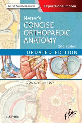 Thompson | Netter's Concise Orthopaedic Anatomy, Updated Edition | Buch | 978-0-323-42970-2 | sack.de