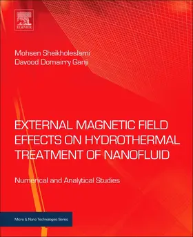 Sheikholeslami / Ganji | External Magnetic Field Effects on Hydrothermal Treatment of Nanofluid | Buch | 978-0-323-43138-5 | sack.de