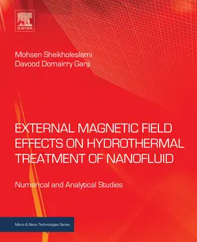 Sheikholeslami / Ganji | External Magnetic Field Effects on Hydrothermal Treatment of Nanofluid | E-Book | www.sack.de