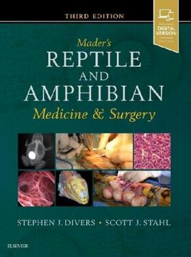 Divers / Stahl | Mader's Reptile and Amphibian Medicine and Surgery | Buch | 978-0-323-48253-0 | sack.de
