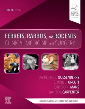 Quesenberry / Mans / Orcutt | Ferrets, Rabbits, and Rodents | Buch | sack.de