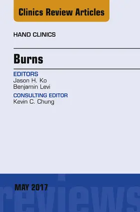 Ko / Levi |  Burns, An Issue of Hand Clinics | eBook | Sack Fachmedien