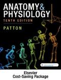 Patton |  Anatomy & Physiology - Binder-Ready (includes A&P Online course) | Loseblattwerk |  Sack Fachmedien