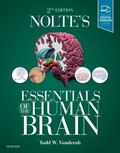 Vanderah |  Nolte's Essentials of the Human Brain | Buch |  Sack Fachmedien