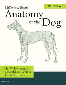 Hermanson / de Lahunta | Miller and Evans' Anatomy of the Dog | Buch | 978-0-323-54601-0 | sack.de