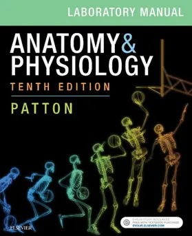 Patton |  Anatomy & Physiology Laboratory Manual and E-Labs E-Book | eBook | Sack Fachmedien