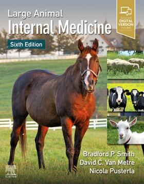 Smith / Van Metre / Pusterla | LARGE ANIMAL INTERNAL MEDICINE | Buch | 978-0-323-55445-9 | sack.de