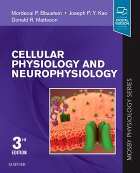 Matteson / Blaustein / Kao | Cellular Physiology and Neurophysiology | Buch | 978-0-323-59619-0 | sack.de