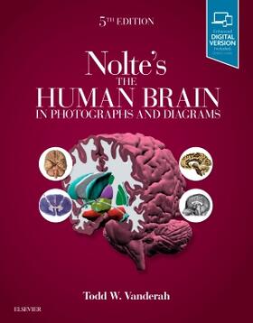 Vanderah | Nolte's the Human Brain in Photographs and Diagrams | Buch | 978-0-323-59816-3 | sack.de