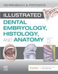 Fehrenbach / Popowics |  Illustrated Dental Embryology, Histology, and Anatomy | Buch |  Sack Fachmedien