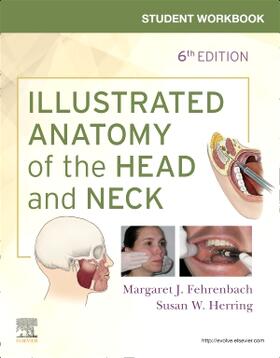 Fehrenbach | Student Workbook for Illustrated Anatomy of the Head and Neck | Buch | 978-0-323-61305-7 | sack.de