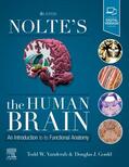 Gould / Vanderah |  Nolte's The Human Brain | Buch |  Sack Fachmedien
