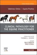 DeNotta / Stokol |  Clinical Pathology for the Equine Practitioner, an Issue of Veterinary Clinics of North America: Equine Practice | Buch |  Sack Fachmedien