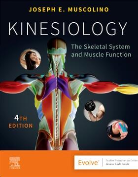 Muscolino | Kinesiology | Buch | 978-0-323-81276-4 | sack.de