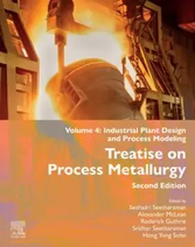 McLean / Guthrie / Seetharaman |  Treatise on Process Metallurgy | eBook | Sack Fachmedien