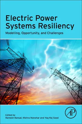 Bansal / Mishra / Raj Sood |  Electric Power Systems Resiliency | Buch |  Sack Fachmedien