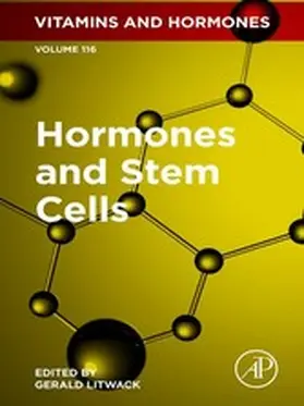 Litwack |  Hormones and Stem Cells | eBook | Sack Fachmedien