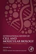 Weyemi / Galluzzi |  Chromatin and Genomic Instability in Cancer | eBook | Sack Fachmedien