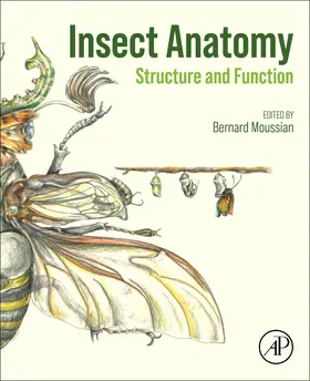Moussian | Insect Anatomy | Buch | 978-0-323-85619-5 | sack.de