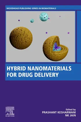 Jain | Hybrid Nanomaterials for Drug Delivery | Buch | 978-0-323-85754-3 | sack.de