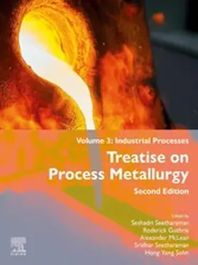 Guthrie / McLean / Seetharaman |  Treatise on Process Metallurgy | eBook | Sack Fachmedien